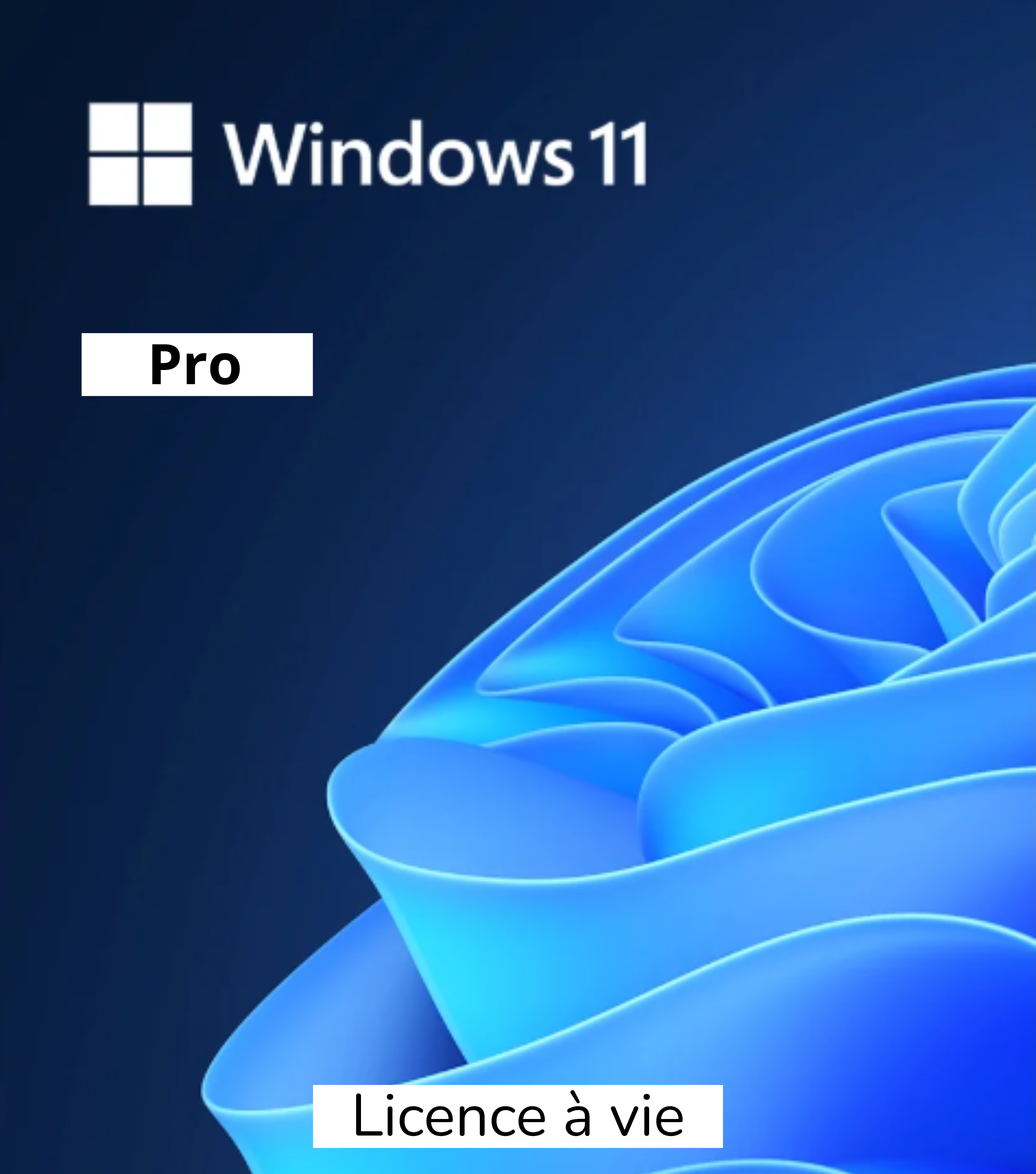 Licence Pro